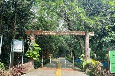 Panduan Lengkap ke Hutan Kota Srengseng, Healing Murah Meriah di Jakarta Barat