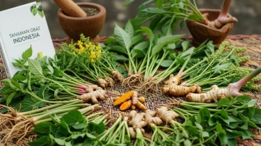 Indonesia Kaya Tanaman Herbal, Kenapa Produksi Obat Alami Dalam Negeri Lambat?