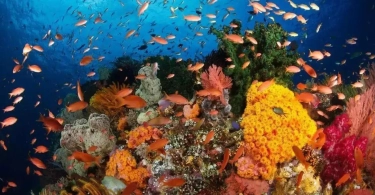 Inilah 5 Destinasi Wisata Paling Populer di Manado yang Wajib Dikunjungi Saat Liburan