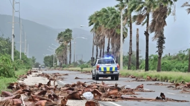 Badai Melissa Hantam Jamaika, Kota Lumpuh Ribuan Rumah Porak-poranda