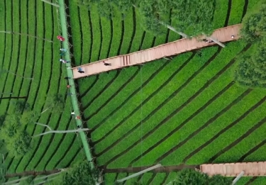 10 Destinasi Wisata Terbaru dan Terpopuler di Wonosobo yang Wajib Anda Kunjungi