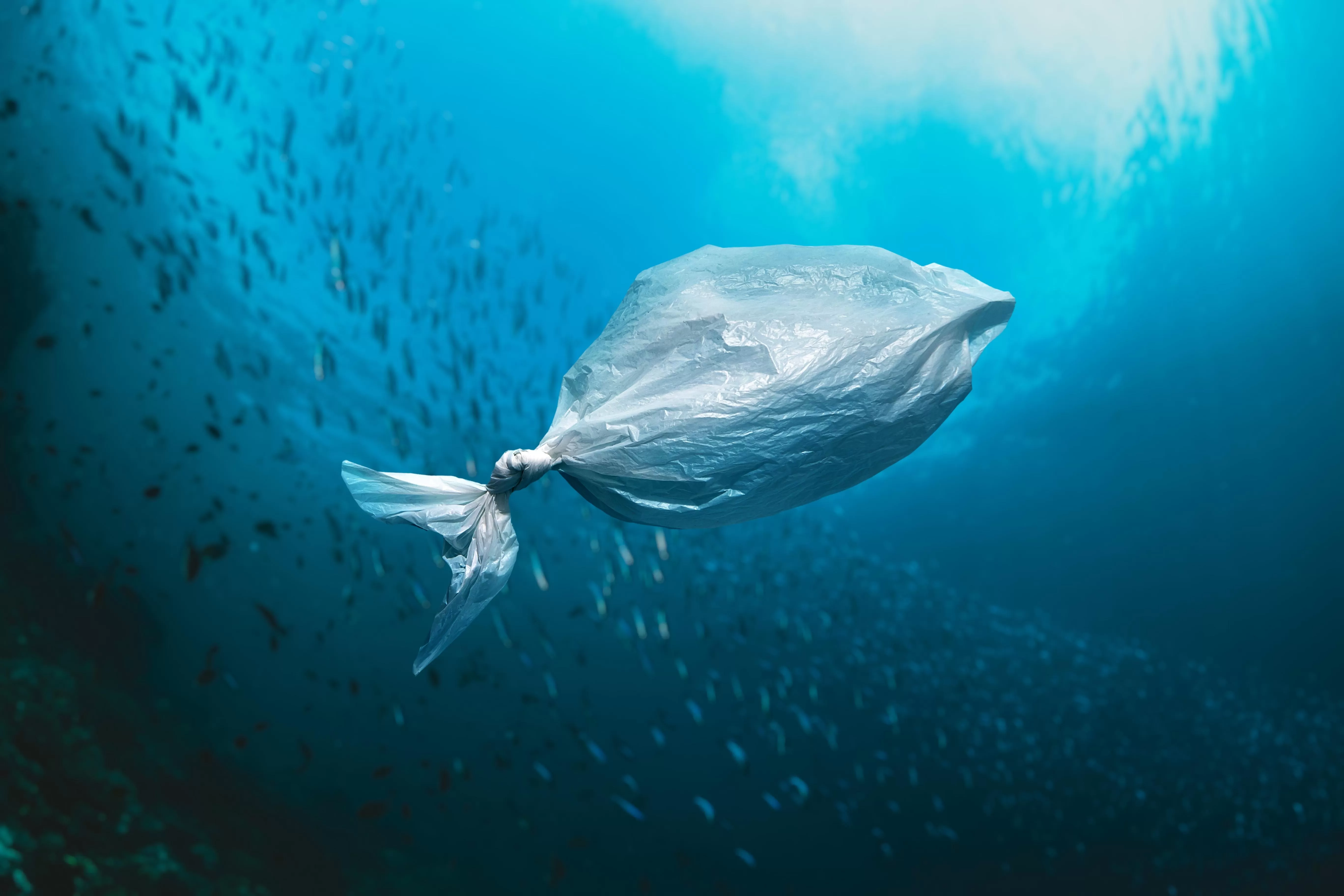 Heboh! Hujan di Jakarta Mengandung Mikroplastik, Ketahui 5 Bahayanya Bagi Kesehatan Tubuh