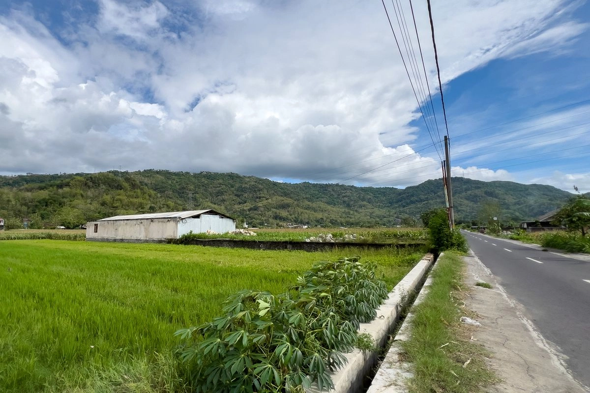 Kampung Zombi Desa Wanirejo dalam Film Abadi Nan Jaya, Adakah di Dunia Nyata?