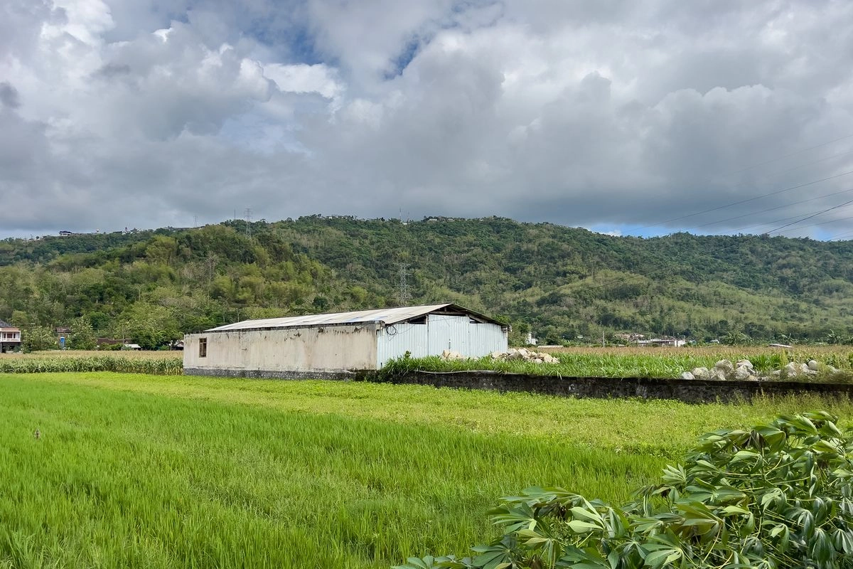 Tempat Syuting Film Abadi Nan Jaya Ternyata Ada di Yogya, Ini Lokasinya