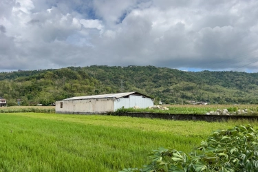 Tempat Syuting Film Abadi Nan Jaya Ternyata Ada di Yogya, Ini Lokasinya