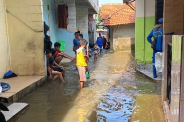 Bukan Sekadar Nyamuk: Tantangan Global dalam Menghentikan Wabah DBD