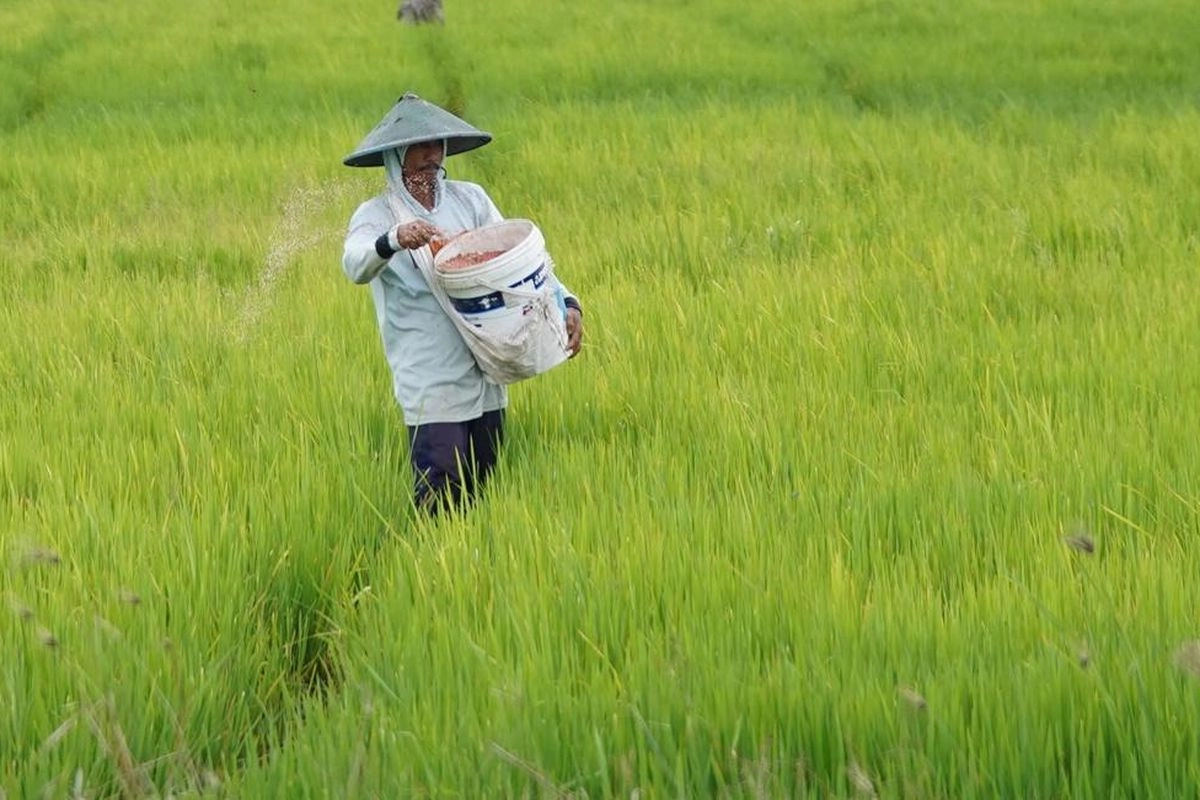 Nilai Tukar Petani dan Nelayan Kompak Turun Pada Oktober 2025, Apa Penyebabnya?