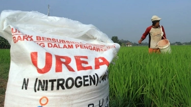 Rahmad Pribadi Jamin Ketersediaan Pupuk Subsidi hingga Akhir 2025
