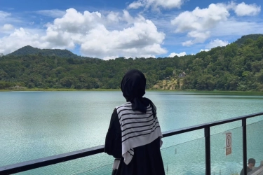 Harga Sewa Mobil di Manado, Ini Kisarannya