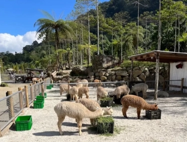 Anti Mainstream! 3 Destinasi Bali yang Tak Banyak Orang Tahu tapi Bikin Terpana, Sudah Pernah ke Sini?