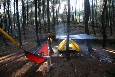 Tarif Masuk TN Halimun Salak Turun 50 Persen, Jadi Segini Harganya