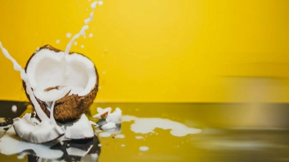 Kelapa Jadi Wajah Rasa Indonesia, Rahasia di Balik Lezatnya Kuliner Nusantara