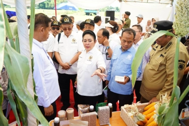 Ketahanan Pangan Menguat, Mentan Amran Tuai Apresiasi Komisi IV DPR RI