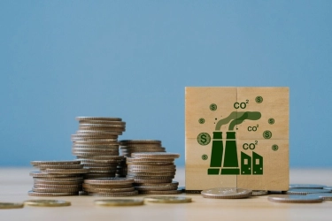 Pertamina NRE Terbitkan Kredit Karbon Baru, 90 Persen Terjual