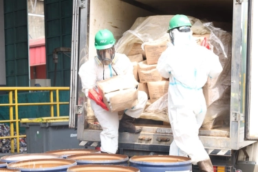 Pemerintah Musnahkan Udang Terkontaminasi Cesium-137 yang Dikembalikan AS