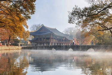 Mau Liburan ke Korea Selatan? Ini Syarat Lengkap untuk Urus Single Visa Turis