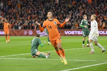 Belanda Lolos ke Piala Dunia 2026, Beda Nasib Reijnders Bersaudara