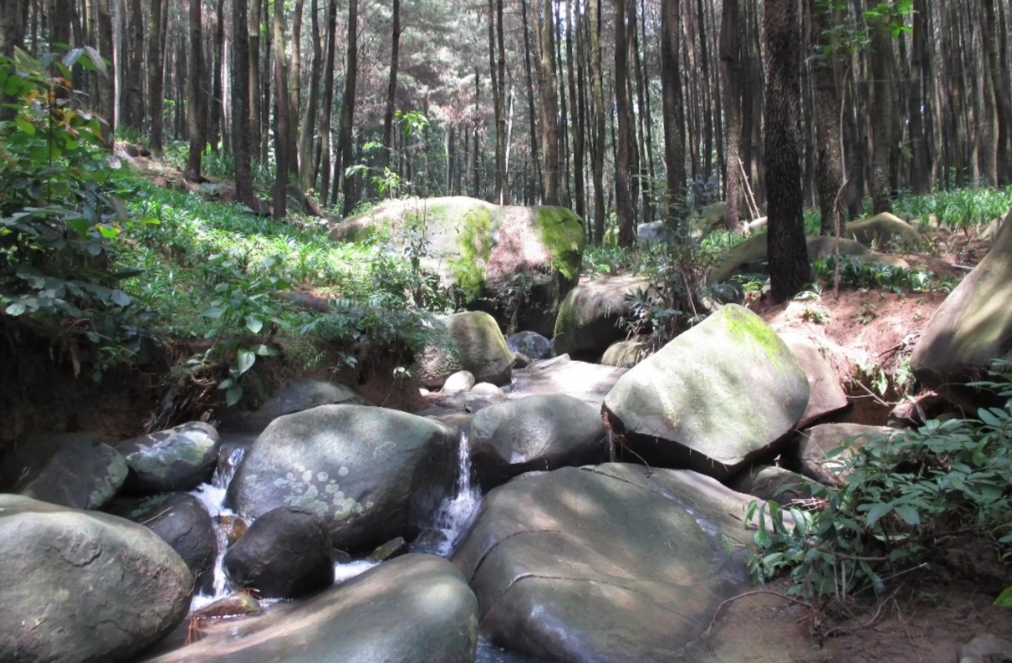 10 Wisata Alam di Bogor yang Masih Sepi Pengunjung dan Jarang Diketahui Orang Banyak