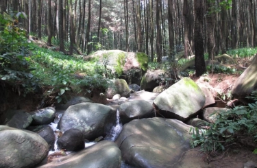 10 Wisata Alam di Bogor yang Masih Sepi Pengunjung dan Jarang Diketahui Orang Banyak