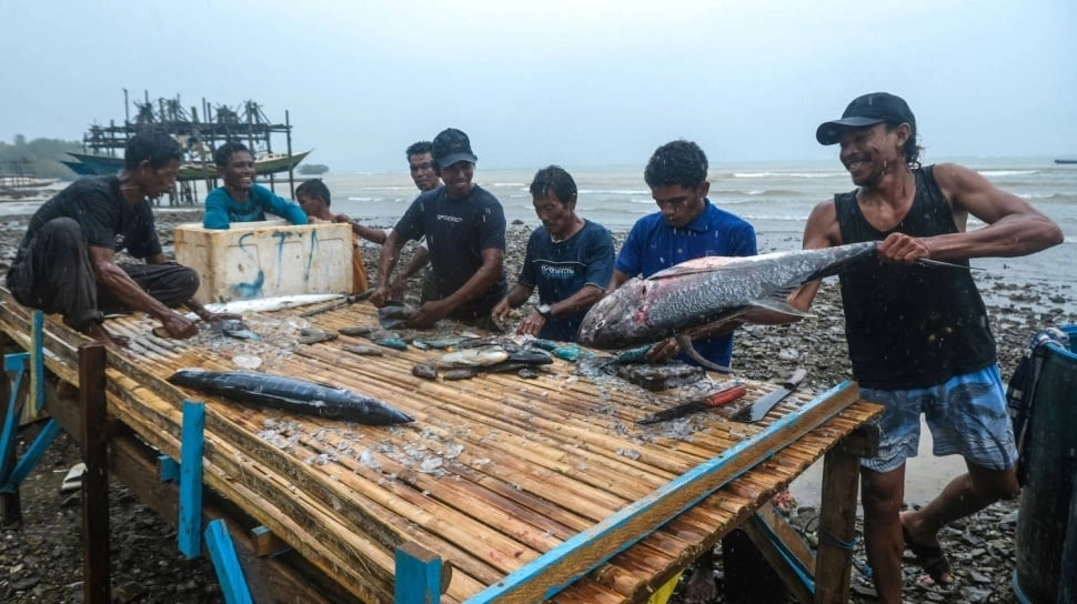 Peneliti IPB Ungkap Kondisi Perairan Pulau Obi