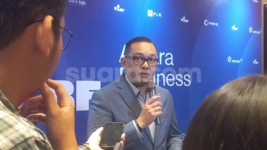 Premanisme Bikin Biaya Investasi RI Bengkak 40 Persen