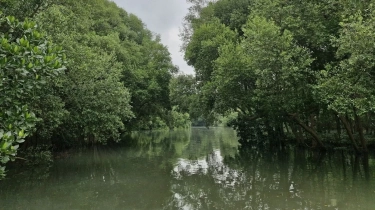 Komunitas BYD Tunjukkan Tren Baru Pengguna EV: Berkendara Bersih Sekalian Rawat Lingkungan