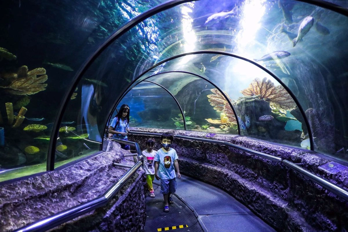 Hari Guru Nasional 2025, Ancol Tebar 2.025 Tiket Gratis untuk Guru