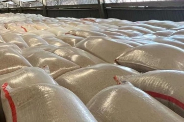 Setelah Sabang, Kementan Ungkap Masuknya 40 Ton Beras Ilegal di Batam