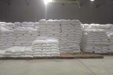 Siapa Izinkan Beras Ilegal Masuk Sabang? Bea Cukai dan Kementan Buka Suara