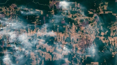 Brasil Minta Duit Miliaran Dolar Buat Jaga Hutan, tapi Izin Tambang Jalan Terus