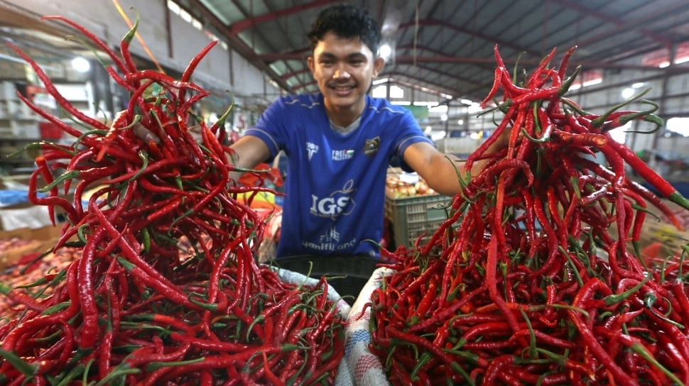 Harga Cabai Naik Tajam Jelang Libur Nataru