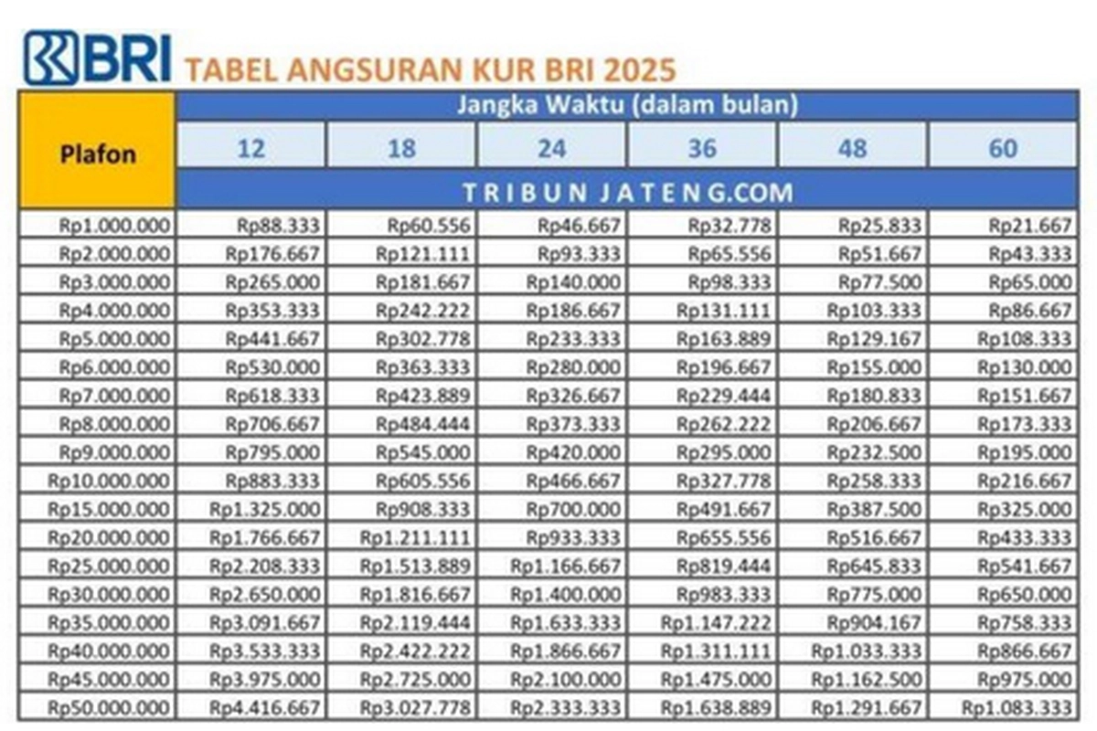 Tabel Pinjaman KUR BRI 2025 Rp 1 Juta–Rp 100 Juta: Cek Cicilan Terbaru Semua Tenor