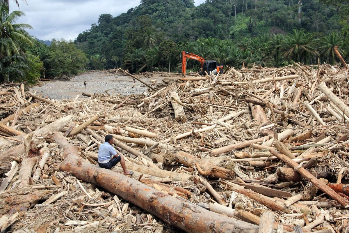 Satgas PKH Bakal Telusuri Dugaan Pembalakan Hutan Usai Bencana Sumatera