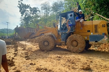 Sempat Seret Nama Luhut Binsar Pandjaitan, Begini Fakta soal Pemilik PT Toba Pulp Lestari