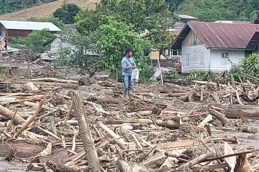 Walhi Sebut Bencana Banjir dan Longsor Sumatera Diperparah Kerusakan Lingkungan Sejak Era Soeharto