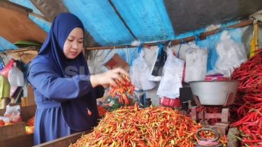 Harga Cabai Rawit Merah Terus Melonjak, Tembus Rp 60.000 per Kg