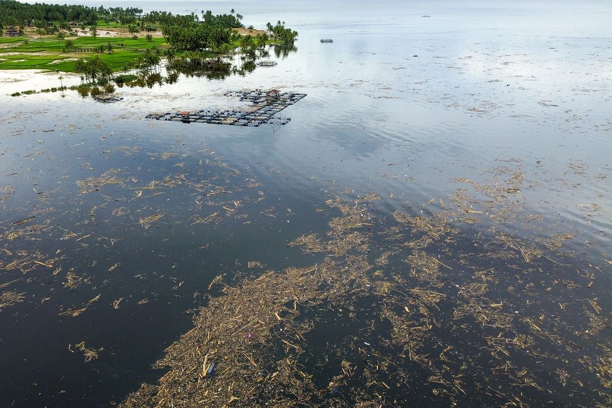 Danau Singkarak Tercemar Sampah Kayu, Ekosistem dan Wisata Terancam