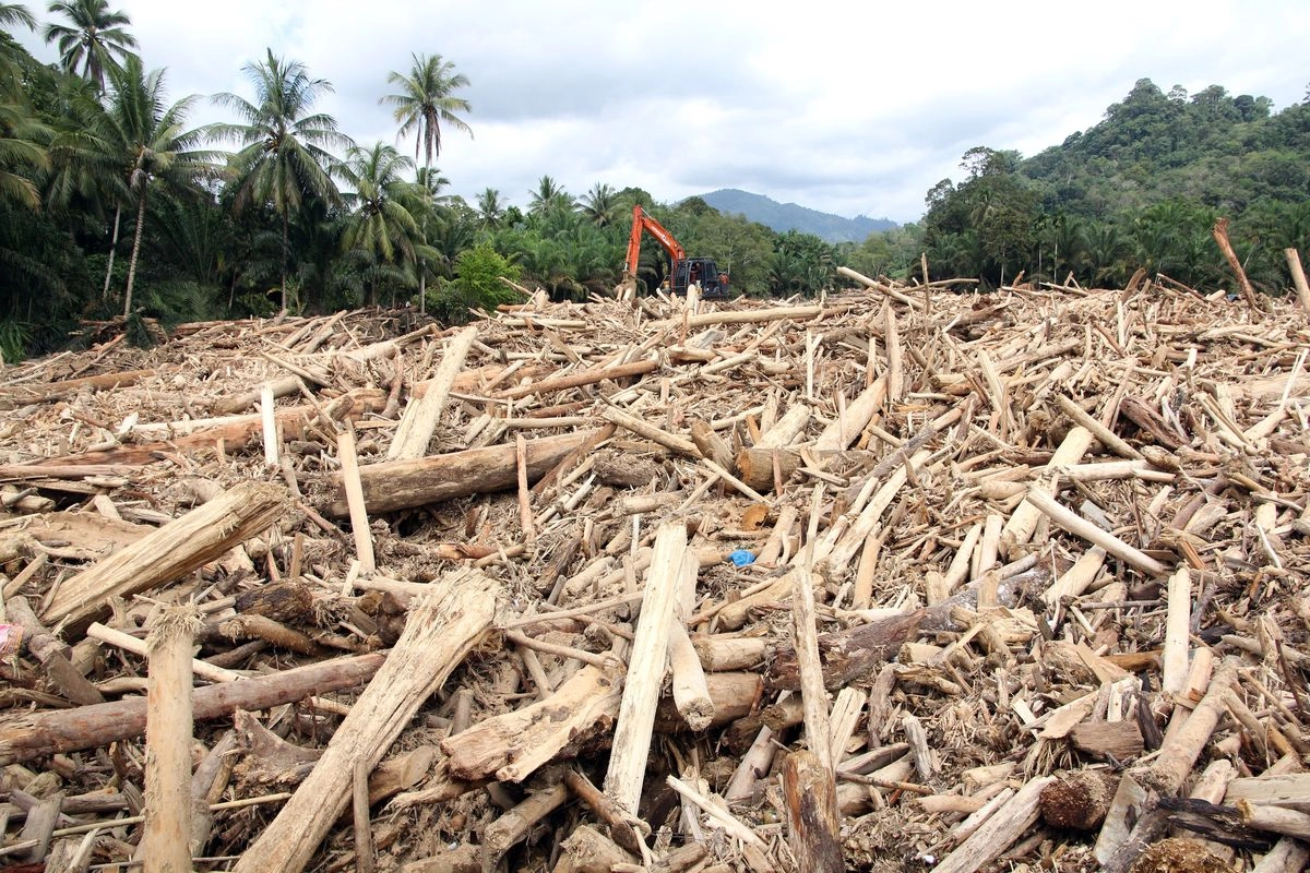 Jejak Chainsaw di Kayu Gelondongan Banjir Sumatera dan Soal Asal Muasalnya