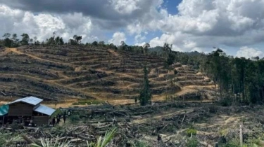 Penjelasan di Balik Polemik Pelepasan 1,6 Juta Hektare Kawasan Hutan Era Zulhas