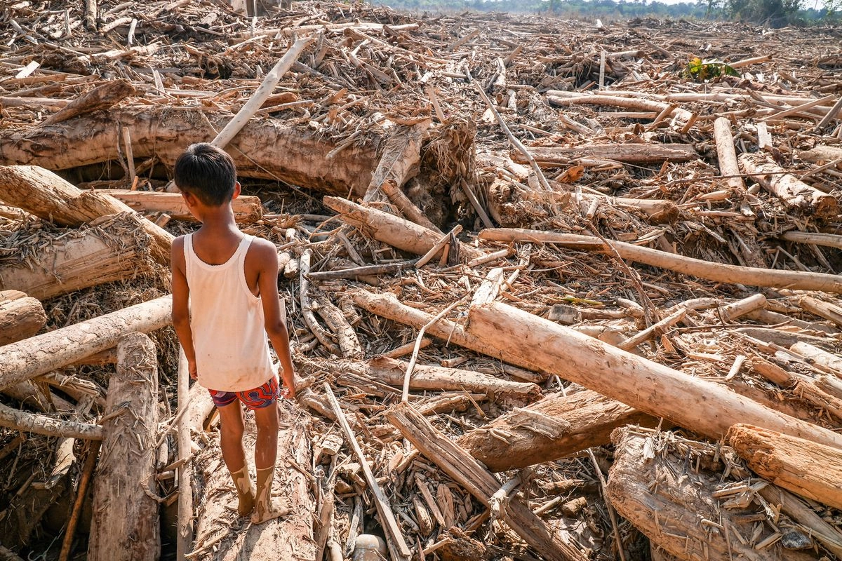 Pemerintahan Bakal Bangun Huntara untuk Korban Bencana Sumatera