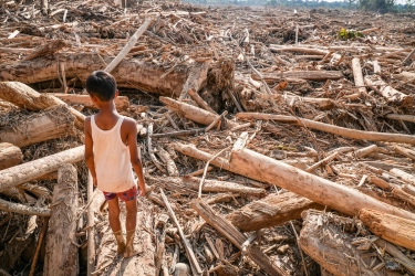 Pemerintahan Bakal Bangun Huntara untuk Korban Bencana Sumatera