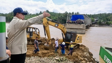 9 Saran Dino Patti Djalal untuk Prabowo: Anggaran Militer Digunakan Bantu Sumatera