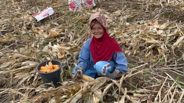 Ada Penjarahan di Sibolga saat Dilanda Bencana, Kemenkeu Ingatkan Pentingnya Ketahanan Pangan di Tanah Air