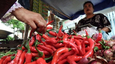 Harga Pangan Nasional Kompak Turun, Cabai Turun setelah Berhari-hari Melonjak