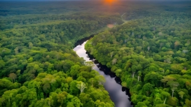 Pengamat Tantang Pemerintah Buka Data Penebangan Hutan Kemenhut Era Zulhas: Berani Tidak?