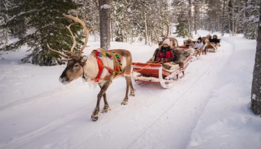 Lapland, Finlandia: Kisah Santa Claus Village, Magnet Wisata Dunia di Ujung Utara Eropa