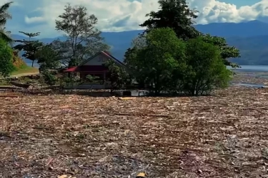 Penelusuran Kayu Gelondongan di Lokasi Terdampak Bencana Perlu Dibarengi Perbaikan Tata Kelola Hutan