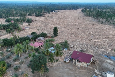 Jejak Pembalakan Liar di Banjir Tapsel: Perkara Naik Penyidikan, Pelaku Diburu