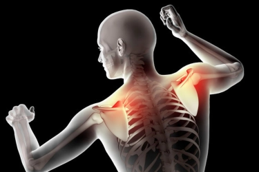 Sering Disepelekan, Mengapa Kesehatan Tulang Perlu Dijaga?