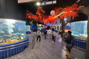 Akuarium Tabung Jumbo Pertama Jawa Tengah Hadir di Purbalingga